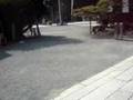 Day trip to Toyokawa Shrine in Aichi Prefecture