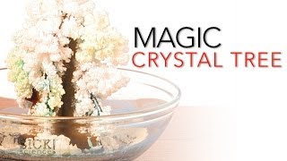 Celebrate Christmas with a Chemis-tree!