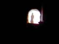 Vid0008.3gp