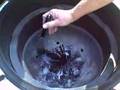The BBQ Guru Turbo Grate on a Big Green Egg 01