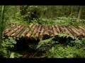 Dj Toxic - Echoes of Nature