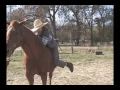 Leah, How to...Swing Up (Horse Hoppers 2)