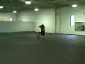 Willy the sharpei Dancing to THE TWIST.... Willy the sharpei Dancing to THE TWIST....