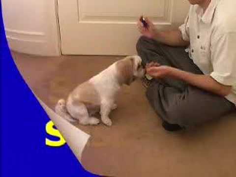 Charging The Clicker - Dog Trick Training