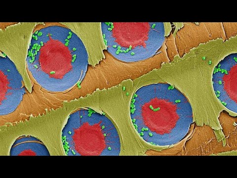 how to provide safe drinking water