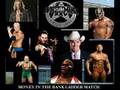 Wrestlemania 25 Fantasy Card