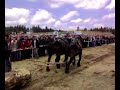 Maso konji (Sokolac-Romanija) Maso konji (Sokolac-Romanija)