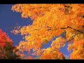Moby - Wait For Me (DJ FenikS Irrational Dub Edit)