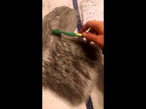 how to dye real fur