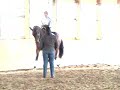 Liebeszauber Liebeszauber