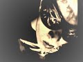 Hollywood Hank mit Johnney Flexx