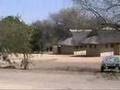 Kruger park 2006