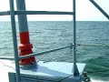 Schnellboot (1) Schnellboot (1)