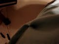 Loco climbs up shirt