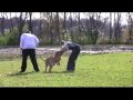 Jonathan & Hitch 11-01-09 (Lo Res MP4 Conversion).mp4