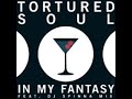Tortured Soul - In My Fantasy (DJ Spinna Galactic Soul Stripped Mix)