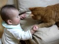 じゃらしの英才教育中