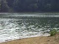 July 11th: Lake Needham