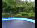 Funny trampoline jump...(into a dustbin)