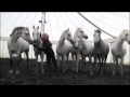 Interview with Cavalia horse trainer Sylvia Zerbini