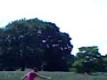 Cousions Fighting In The Sunbury PArk