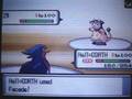 videos de D/P Wi-Fi Battle:mUdQuAzA (UU/BL)