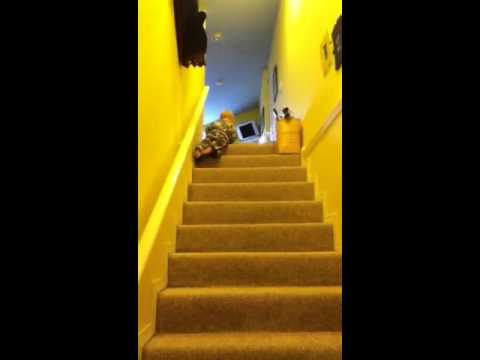 A day at the fister house
