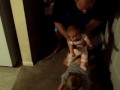 Ashlyn riding horse Logan