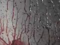 Lieutenant Test Head Hit Curious Theatre