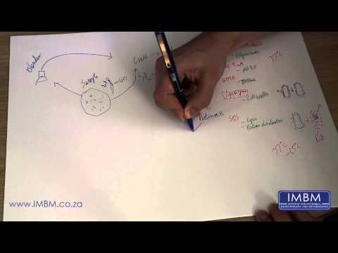 how to isolate dna from e coli