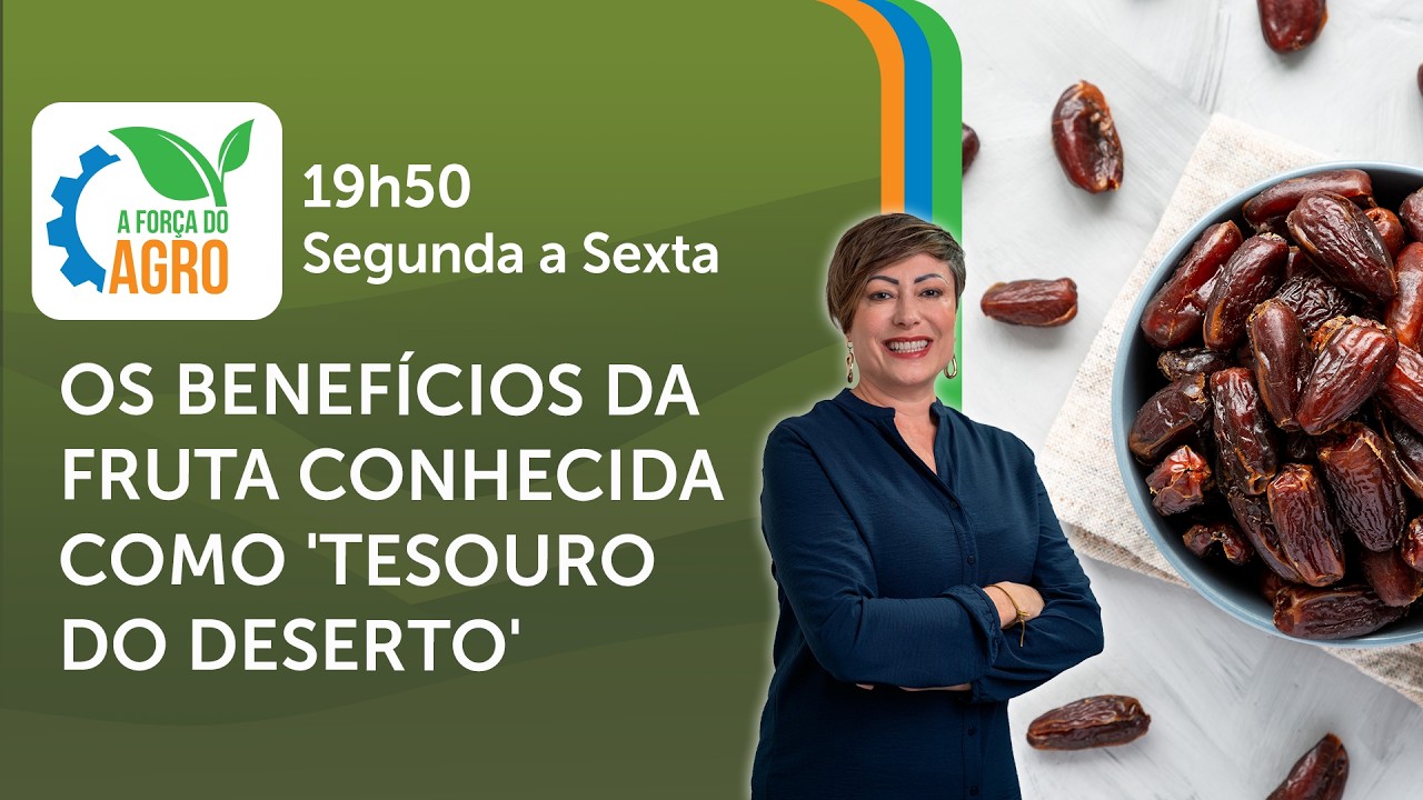 Os benefícios da fruta conhecida como 'tesouro do deserto'  | A Força do Agro, com Joice Maffezzolli