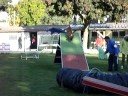 concours agility arnac lutterbach