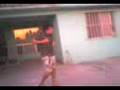videos de patada