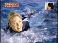 dolphin-flyng dolphin-flyng