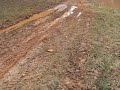 My Brother muddin