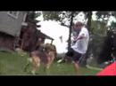 jacob lacrosse