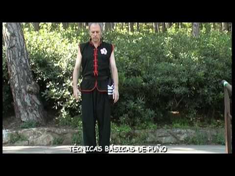 Choy Li Fut. Técnicas Básicas de Kung Fu 1/2