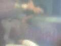 videos de disco debut 3