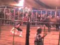 touradas circo irmãos vicentes 1