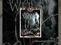 In the Spider's Web