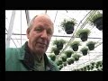 Tips en wetenswaardigheden voor uw tuin, balkon, terras en vijver. Gerard van Run, van Tuincentrum van Run uit Vught vertelt er over.De programma's zijn gemaakt in samenwerking met VTV1 en worden daar wekelijks uitgezonden.