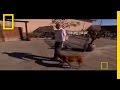 View Video