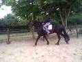 henrike de professionele regisseur en chantal op hans v.d B
