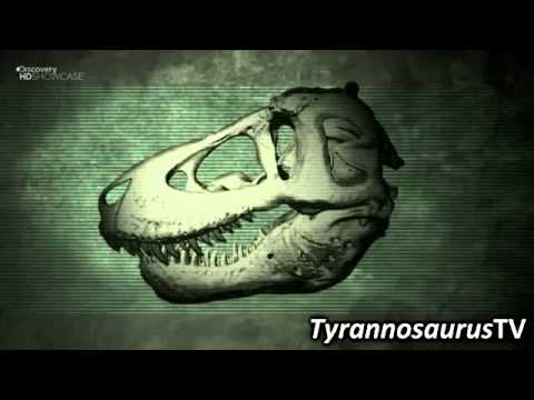 Date Night for Tyrannosaurus Rex: A Theory 0 Date Night for Tyrannosaurus Rex: A Theory