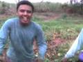videos de Trabalhadores Rurais