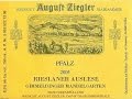 Kabinett? Spatlese? Auslese? Qualitatswein mit Pradikat and German Wine labels.