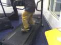 Skateboards-and-Trea