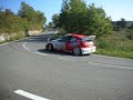 Campionato Italiano Rally-Peugeot 206 WRC Campionato Italiano Rally-Peugeot 206 WRC
