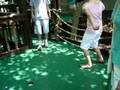 videos de midgetgolf