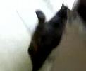 Strype in the Kitchen